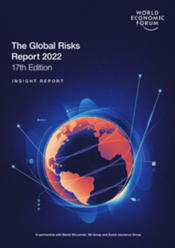 WEF Global Risk Report 2022